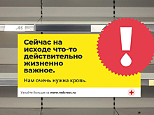 14 июня вся планета отмечает Всемирный день донора