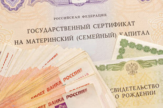 В Госдуму внесли поправки о смене назначения маткапитала