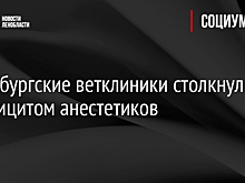Петербургские ветклиники столкнулись с дефицитом анестетиков