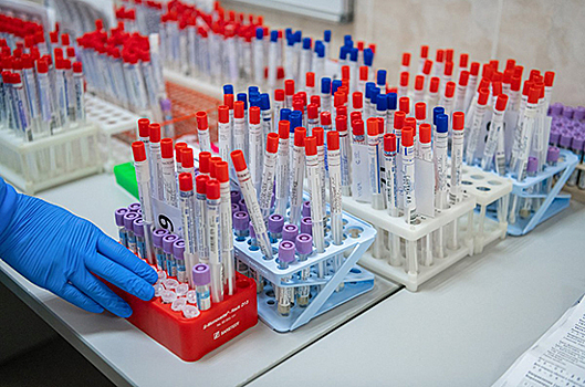Число проведенных в России тестов на коронавирус превысило 2,55 млн