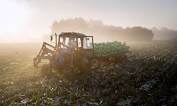 ЕС был вынужден заплатить своим фермерам €1,5 млрд из-за продэмбарго РФ