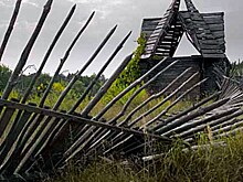 Заброшенные земельные участки в РФ могут начать изымать