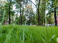 В Казани появится парк имени Айрата Хайруллина