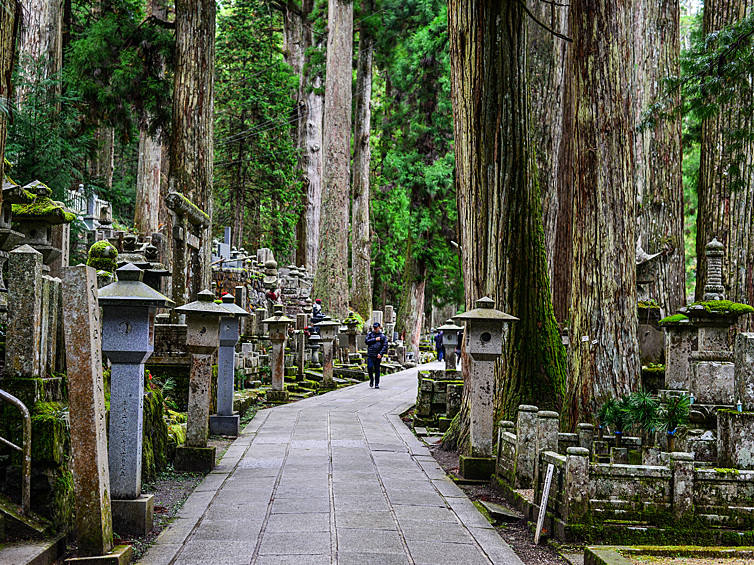 Японское кладбище Окуноин можно назвать одним из древнейших на планете. Первые захоронения здесь появились еще в 816 году нашей эры. На сегодняшний день здесь покоится прах более 200 тысяч умерших людей