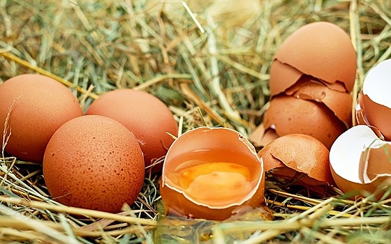 Скандал с яйцами в ЕС выгоден каринтийским производителям