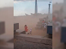 В Петербурге сняли на видео песчаную бурю