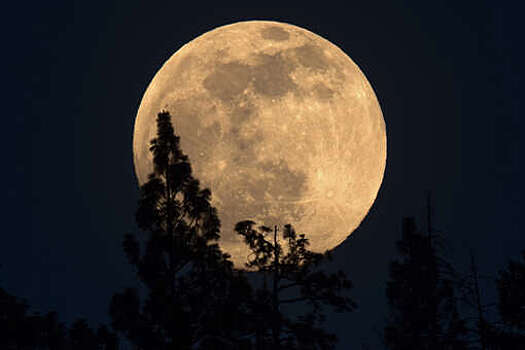 Маск: пришло время для масштабного возвращения на Луну