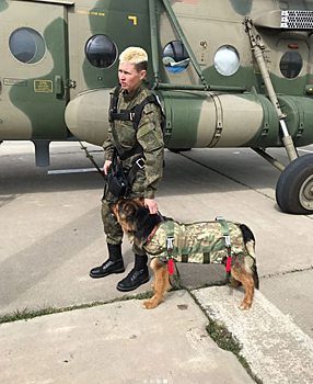 Кинолог из Новороссийска прыгнула с парашютом вместе с псом Мишей