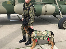 Кинолог из Новороссийска прыгнула с парашютом вместе с псом Мишей