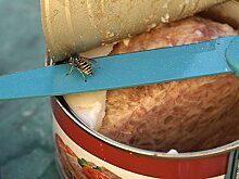 В Азербайджане открыт сезон отравлений: виноват не только угарный газ