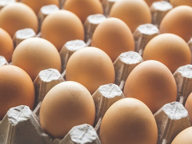 Глава ФАС Шаскольский: в РФ наметилась тенденция к снижению цен на куриные яйца