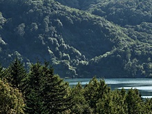 КС РФ изучил вопрос о том, кто должен производить таксацию лесов на Сахалине