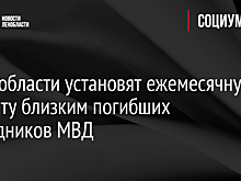 В Ленобласти установят ежемесячную выплату близким погибших сотрудников МВД