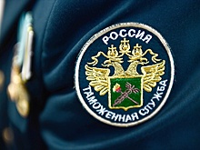 Эксперты объяснили, почему ФТС частично возобновила публикацию данных таможенной статистики