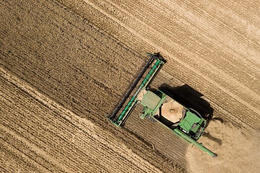 Минсельхоз США повысил для России прогноз по урожаю пшеницы