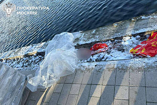 SHOT: в пруду на востоке Москвы найден рюкзак с головой школьника