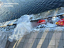 SHOT: в пруду на востоке Москвы найден рюкзак с головой школьника