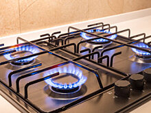 В Петербурге подорожает проезд по ЗСД