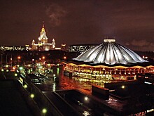 Номер с дрессированными слонами впервые покажут на Всемирном фестивале циркового искусства в Москве
