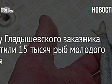 В воду Гладышевского заказника выпустили 15 тысяч рыб молодого лосося
