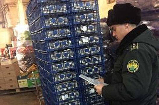 Самарские таможенники выявили 250 кг санкционных шампиньонов из Польши
