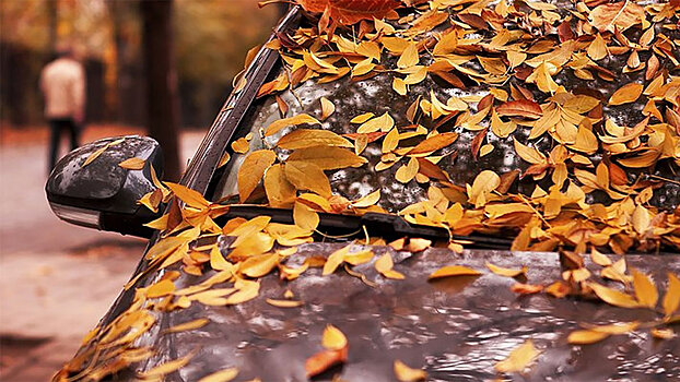 Почему опавшие листья опасны для автомобиля