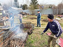 Новосибирских дачников массово штрафуют за костры