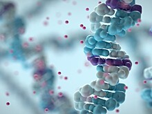 Раку объявлена ядерная война