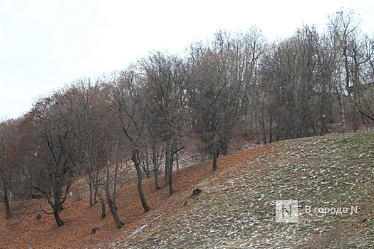 Опубликован прогноз погоды на рабочую неделю в Нижнем Новгороде