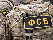 ФСБ опубликовала показания готовившей теракт в Волгодонске студентки