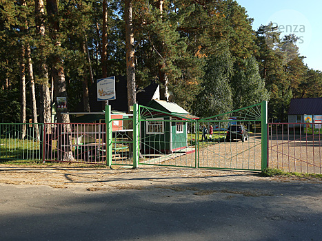 В Пензенской области проверки детских лагерей проводятся ежедневно — Роспотребнадзор