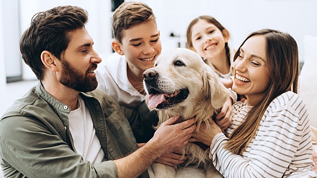 Эта ошибка с собакой может разрушить благополучие всей семьи