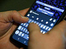 Прокуратура Вологды запретила обязательное использование MAX в школах