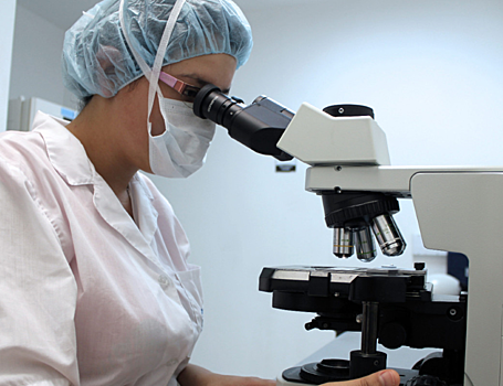 Вести с полей: влияние микропластика на здоровье