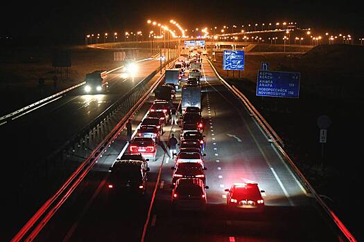 В России прокомментировали предотвращенный ФСБ теракт на Крымском мосту