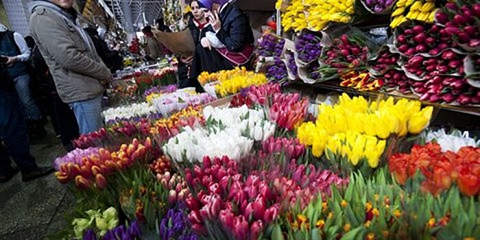 В Госдуме предложили повысить ввозные пошлины на цветы и ввести усиленный контроль за ценами в праздники