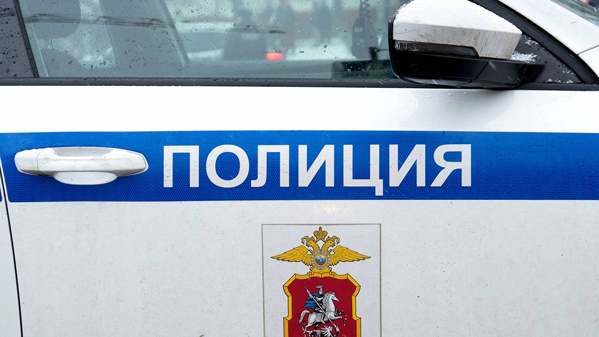 Дорожную сумку с человеческими останками обнаружили в Ленинградской области