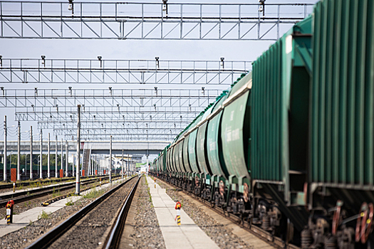 В Калининградской области машинист экстренно остановил поезд перед группой детей