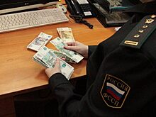 Приставы заставили тюменца, сбившего девочку, выплатить 100 тыс. руб.