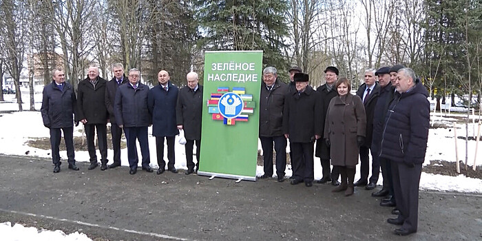 В Минске высадили 26 кленов в парке Чингиза Айтматова