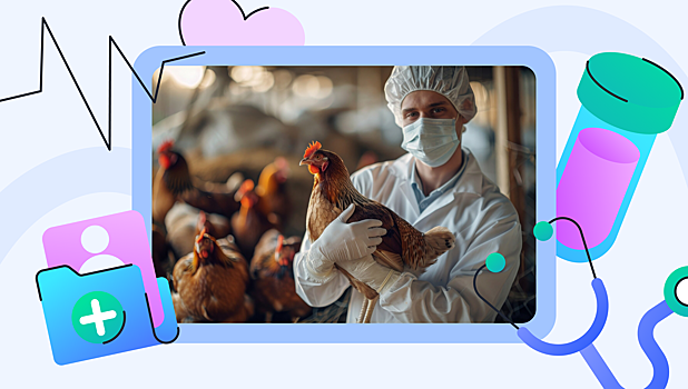 Будет ли новая пандемия птичьего гриппа: отвечают учёные
