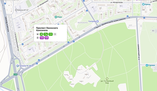 Курян приглашают навести порядок в лесу на Волокно