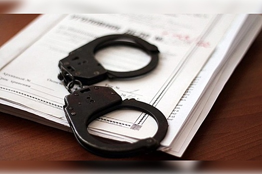 Петербургский художник Крисевич задержан на территории Рязанской области