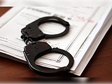 Петербургский художник Крисевич задержан на территории Рязанской области