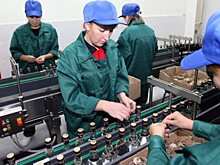 Россия снизила выпуск водки и шампанского