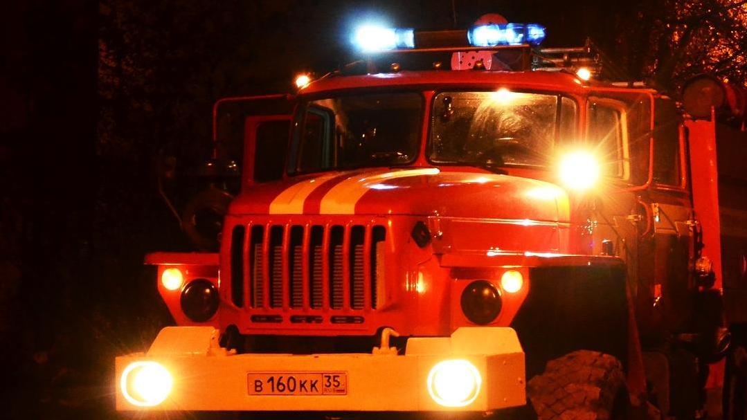Отец с дочерью погибли на пожаре в Вологодской области