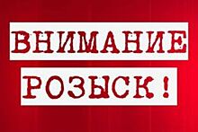644 без вести пропавших нашли в Нижегородской области в 2016 году