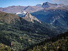 Россия и Белоруссия создают особо охраняемую природную территорию для защиты зубров