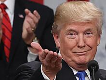 Трампа неожиданно посчитали хорошей заменой Набиуллиной