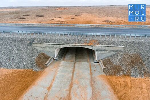 Росавтодор перенес сроки строительства новой объездной дороги в Хасавюрте